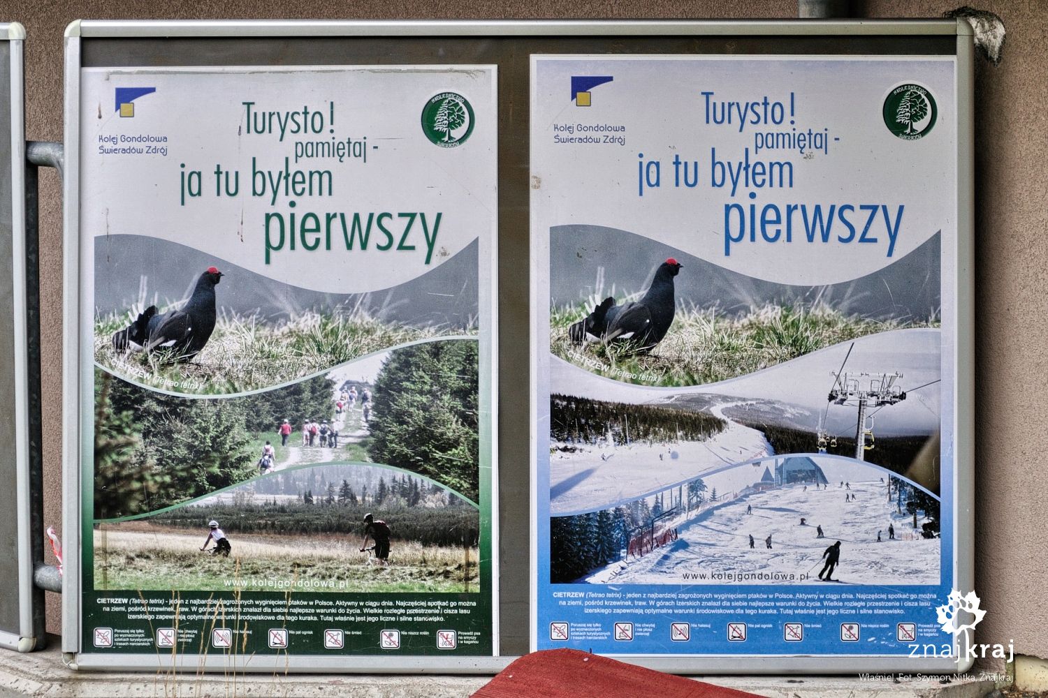 Właśnie! Właśnie!