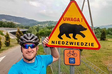 Uwaga na niedźwiedzie w Beskidzie Sądeckim